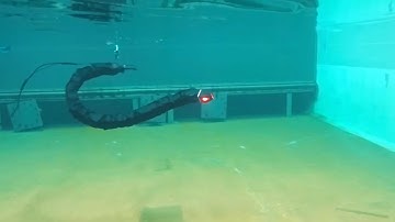 Swimming robot for maintenance and inspections