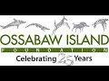 The ossabaw island foundation  revealing the voices and mystery of ossabaw island