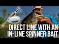 Direct Line with an In-line Spinner Bait