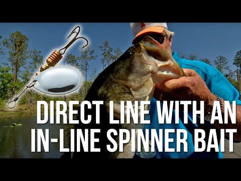 Direct Line with an In-line Spinner Bait