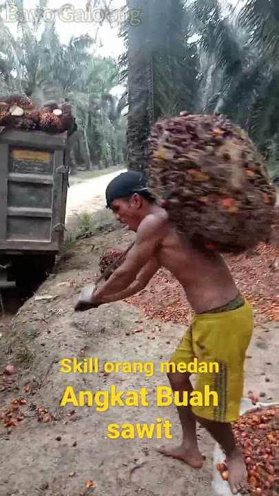 Skill Angkat Buah Sawit Besar #shorts