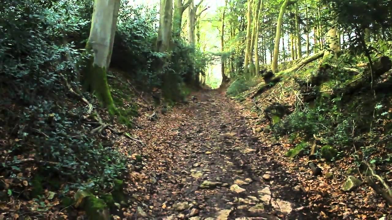 A Walk on Mendip part 1