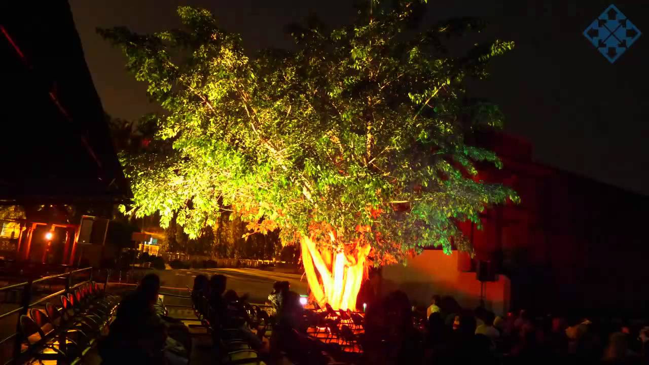 Sound  Light Show Cellular Jail