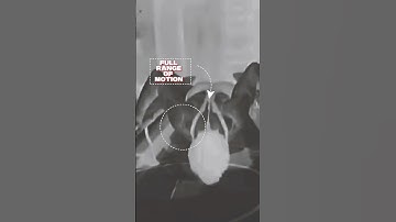 Soviet Full ROM Push Up Breakdown | The Soviet Kettlebell Protocol