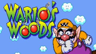 Time Trial - Warios Woods (SNES)