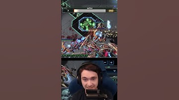 Terran players are just built different