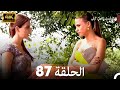 المسلسل التركي ليلى الحلقة 87 4