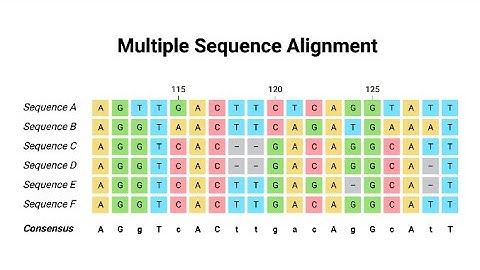 Basic Concepts of Sequence Alignment (13 Minutes)