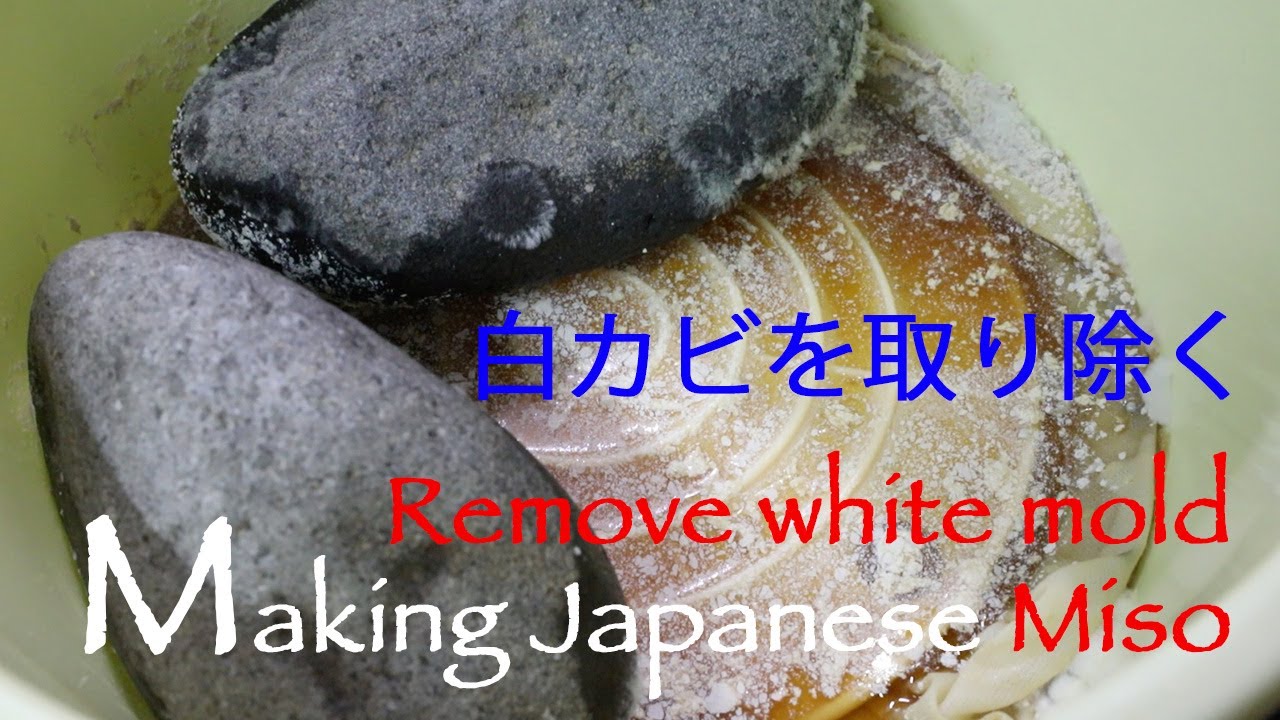 ２月に仕込んだ自家製味噌 白カビが発生したので取り除く Japanese Vegan Seasoning Making Miso Youtube