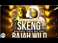 Skeng x Rajahwild Mix 2023 | Dancehall Mix 2023 Video | Rajahwild x Skeng Mix 2023