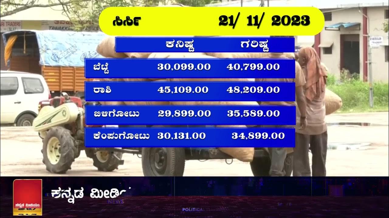 22 11 2023 SSB Tech Channagiri Areca Nut Price 22-11-2023-ssb-tech-channagiri-areca-nut-price