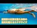 ストレッチポール │ バタ足運動 StretchPole® Exercise; Pel-Con 4: Flutter Kick