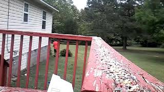 Wild Bird Feeding