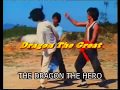 THE DRAGON THE HERO