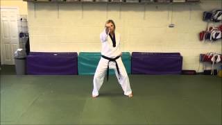 Team Taekwondo 10 Basic Moves