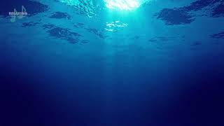Underwater Sounds | Relaxing Ambience | For Meditation, Deep Sleep by Relaxing Music & Sounds 99 views 2 years ago 3 hours