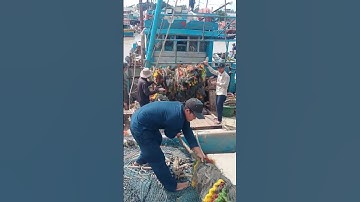 korte broek regen overstromingswater in waterfietsboot haast zich naar de kust
