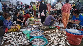 Cambodian Early Morning Fish Market - Activities & Lifestyle of Vendors Selling Seafood & Fish