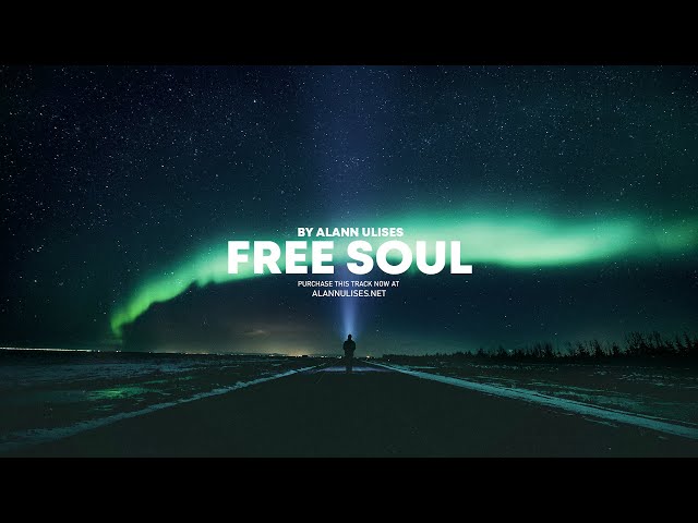 FREE SOUL Riddim | Reggae Roots Island Romantico Beat Instrumental | romantic Love Type | 2022 class=