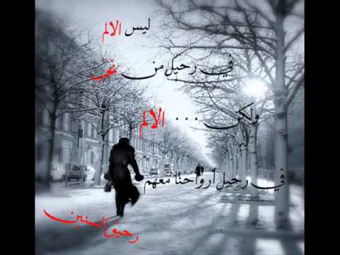 رضا انا بتعلم منك  