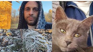 картинка: Страшная ночь.Нужен совет 