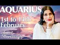 AQUARIUS Tarot reading from 1st to 14th February 2024