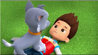 PAW Patrol: Rocky Tags Ryder a Little Too Hard.