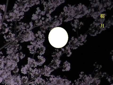 「浮かれ月」アマチュアネット歌手夕涼美➂作詞 miwa様 作曲佐谷戸様