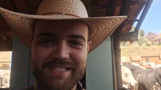 Video for GM BOLTZ