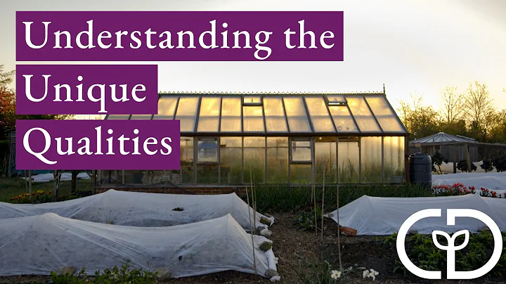 Understanding the unique qualities of a greenhouse...