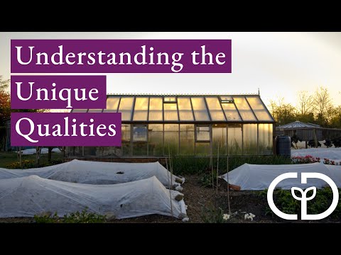 Understanding the unique qualities of a greenhouse or polytunnel