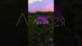 Мощное природное средство для ухода за кожей и восстановления жизненной энергии✨️