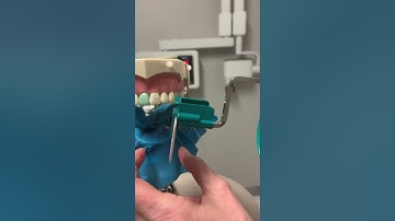 Endo PA with Endo ray holder