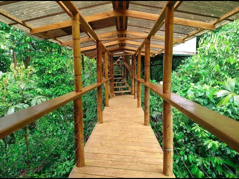 Hidden Treehouse Community- Costa Rica