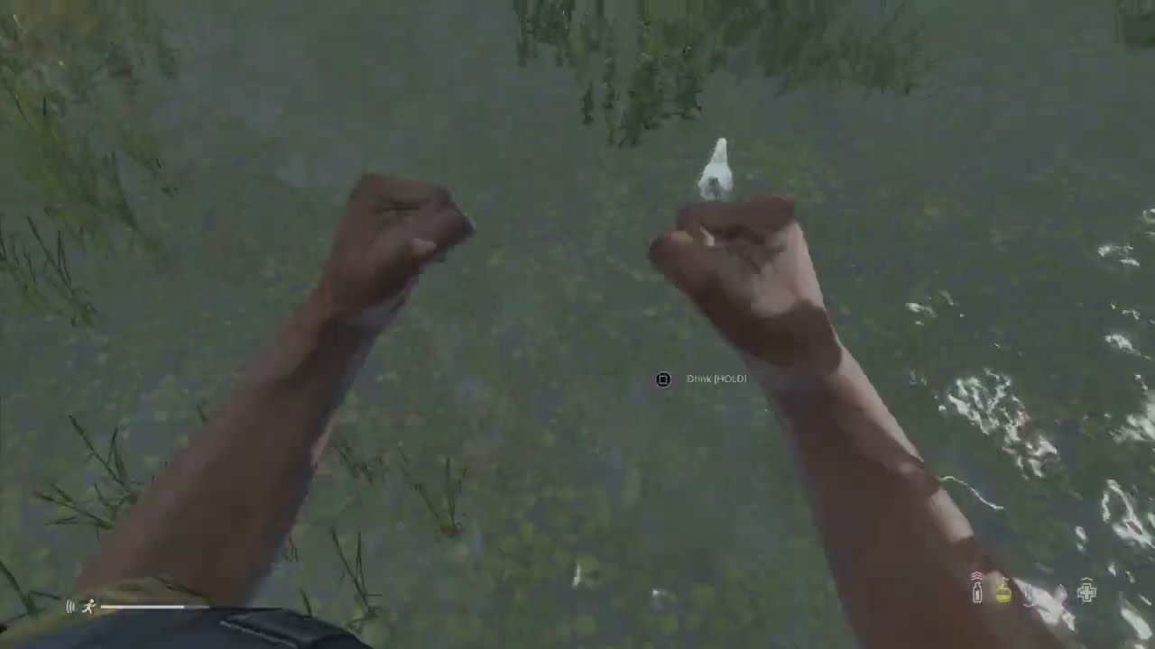 DayZ Tips Chicken YouTube