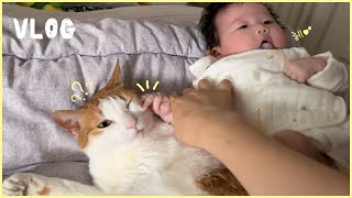 꼬마집사는 처음이라고양이&육아 vlog