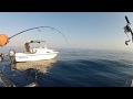 fishing montenegro grande ricciola