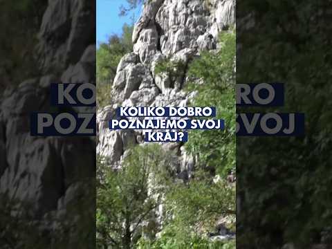 Terenska nastava