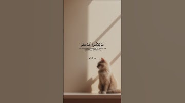 "هو الذي خلقكم من تراب ثم من نطفة" سورة غافر SURAH GHAFIR #عبدالولي_الاركاني #abdulwali_alarkani