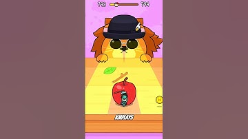 HIDE AND SEEK: CAT ESCAPE LVL 793-794 #catescapegame #catgames #cat #shorts