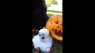 Pumpkin Puke! Science experiment by Abbitudes