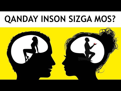 Video: Zodiak Belgisi Uchun Qanday Uy Hayvonlari Mos Keladi