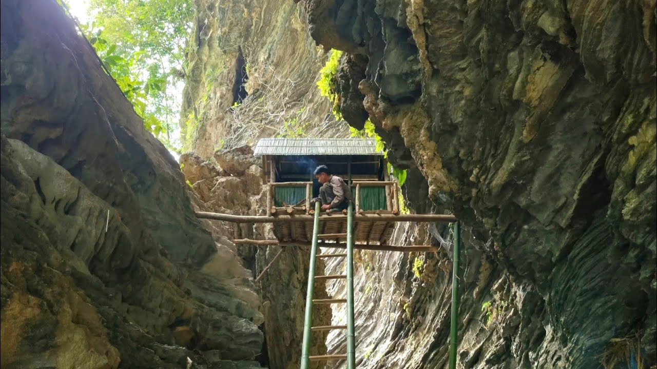 Build and create a cool shelter with natural coconut leaves, on the river