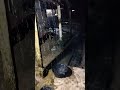 Fall Asleep Fast, Beat Insomnia & Stress ⛈️Intense Thunderstorm Rain on Tin Roof & Powerful Thunder