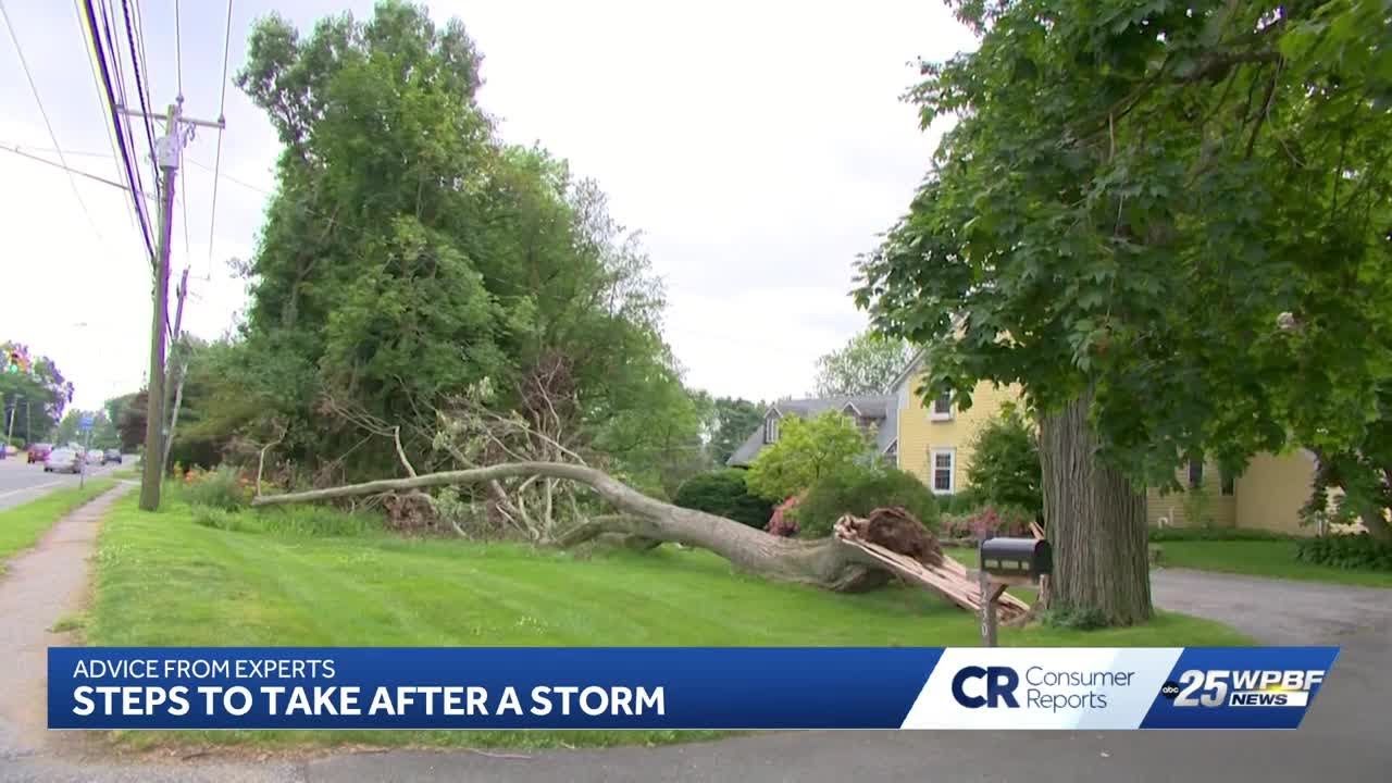 Consumer Reports: What to do after a storm - YouTube