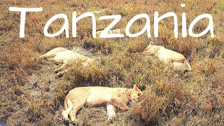 Two Minute Travel Series | Tanzania | Serengeti Safari and Ngorongoro Crater Africa