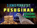 Pesugihan Perkutut Lokal  |  3 Jenis Perkutut Bertuah Pembawa kekayaan bagi pedagang atau pengusaha