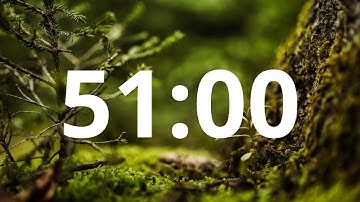 51 Minute Countdown Timer With Alarm (Simple Beep)
