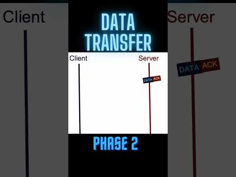 TCP Protocol