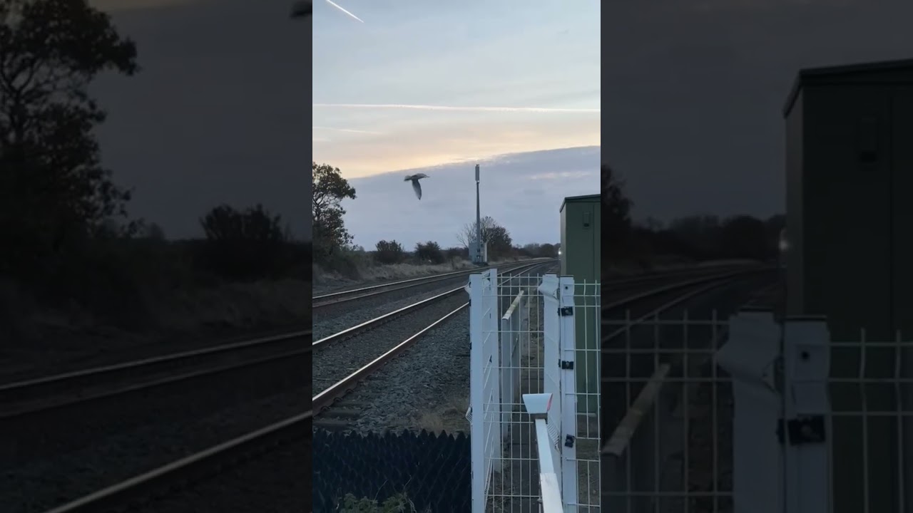 Class 805 Avanti West Coast roaring past 100 MPH plus...